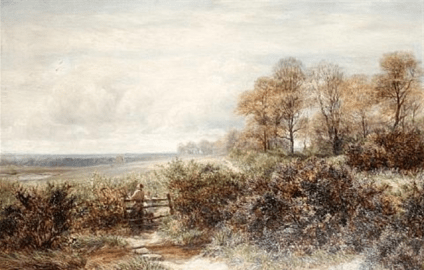 Tom Knocker's Wood, The Hilly Fields, Harborne, Birmingham , 1878